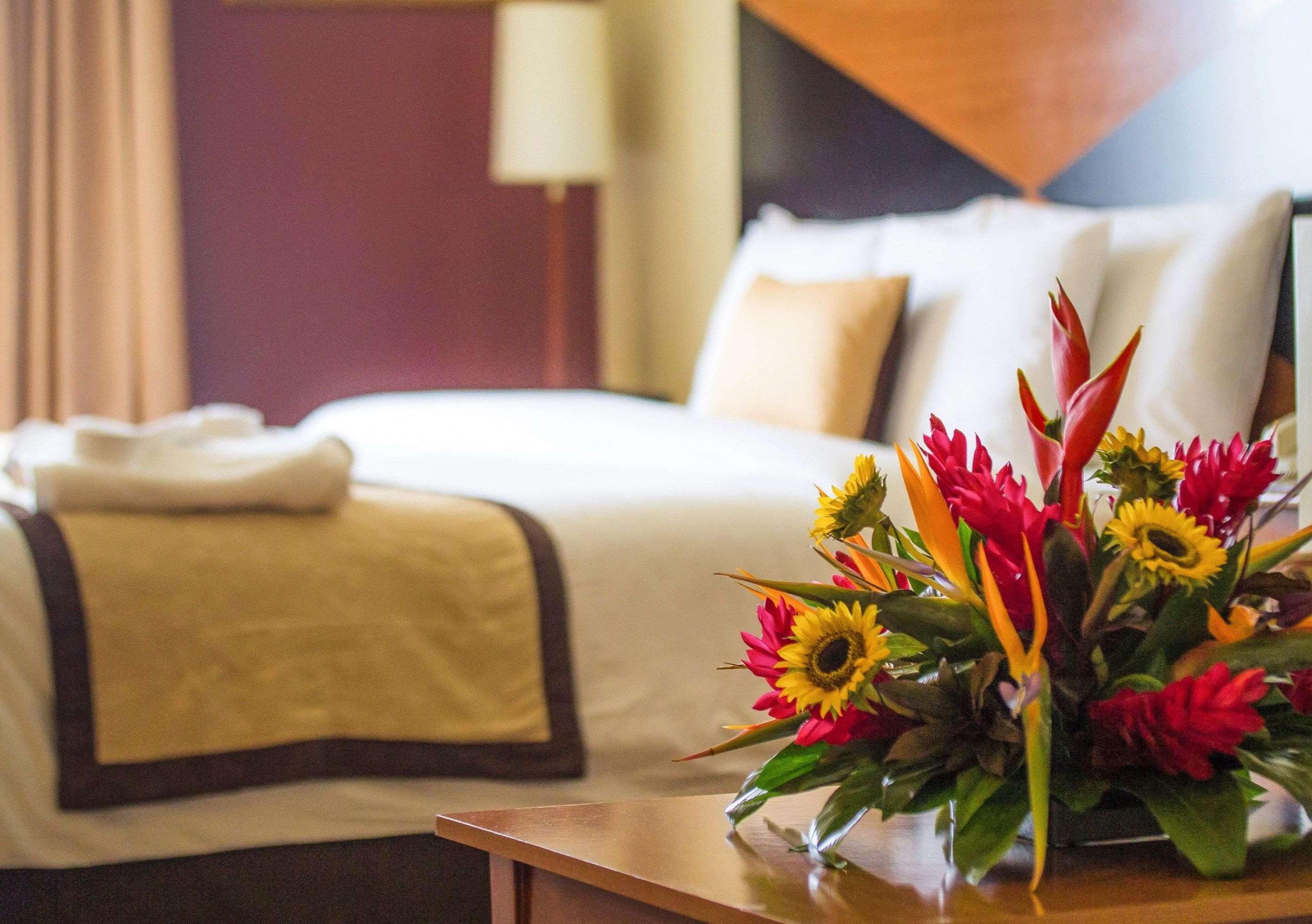 Sleep Inn Paseo Las Damas San José Dış mekan fotoğraf
